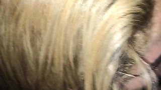Giving a Nice POV Blowjob to a New Bull Before Missionary