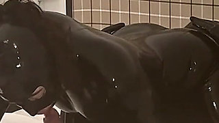 Homemade Latex Sex Video - Alex Latex