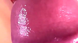 Delicious Kitty Blowjob