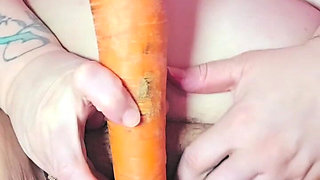 It doesn't have to be Easter to Enjoy a Carrot pt 2. The insertion