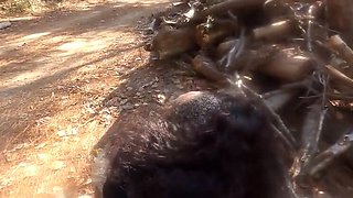 POV Teen Anal with Older Man