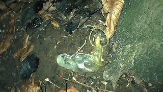 Middle East Guy Cums on Used Condom Thrown Out