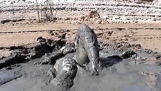 Hot muscled stud tommy defendi sizzling outdoor solo jerking