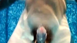 23 Massive Squirts: Amateur Underwater Adventure