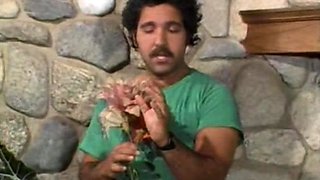 Extreme amateur pov blowjob with brunette babe