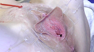 3 Licking Pussy Spread Far From Very Close