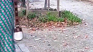 Amateur Blonde Mature Wife Enjoys Sex After Walk