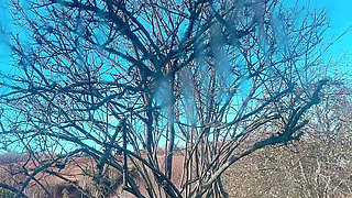 Piss Dirt Pussy Show up Nice View of Hana Chan Petite Girl