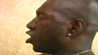 Black Cock in Chubby XXX