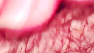 Macro Perspective: Extreme Close-up with Micro Camera
