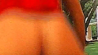 John Thompson: Leni Swallow