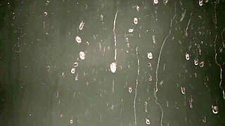 VIPissy featuring Kitty Jane and Paula Shy's peeing movie