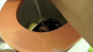 toilet slave training