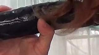 Sexslave fuck training