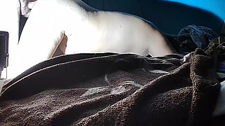 I still don't put it in and he tells me that it will hurt