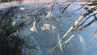 He's Watching Again Strangers Naughty Grin