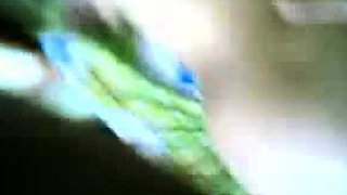 Big-Titted Asian Nurse Amateur Blowjob Video