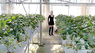 Mayu No.45 Strawberry Hunting Exposure, Immediate Oral, Swallowing Specialized