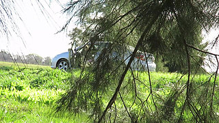 Patricia and Her Ass Walks Among the Pines