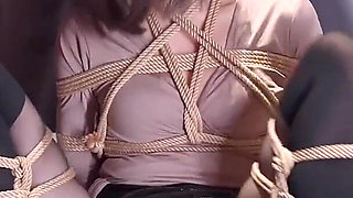 The Cultivation Plan for Rope Slaves 00