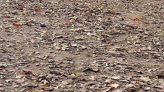 My Neighbor Is Caught Masturbating in Public