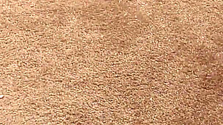 In the Kingdom of Real Nymphomaniacs!! - Vol. #05