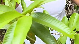 Getting Naked on a Rainy Day, Desi Girl