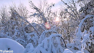 -30c It's Very Cold, but the Cute Russian Girl Wants Ice Cream in Her Mouth