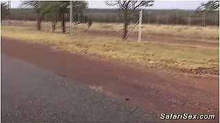African Babe Picked Up For Car Sex