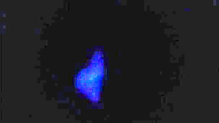 MILF Candi Annie Fucks and Swallows Cum in Hot Tub Romp - POV Video