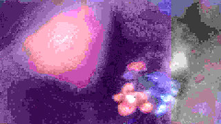 Indian mms video part 2