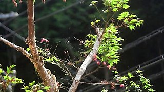 Young amateur pussyfucked by old guy