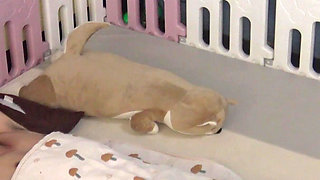 Rough Playpen Session - Hair-pulling Doggy Domination
