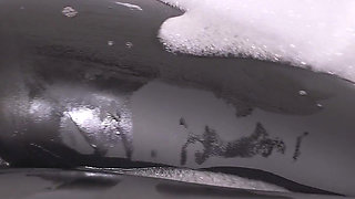 Hot Stepsis Teases Wet Camel Toe in Leather Leggings