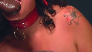 Bachelor Party Gangbang