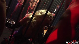 Insatiable blonde bitch gets her every hole ravaged by a pack of hungry bulls